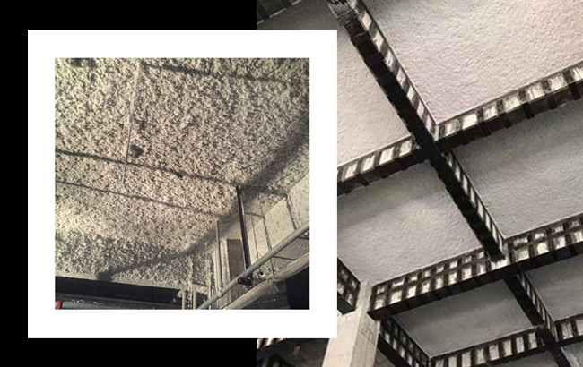 一级特黄AAA大片在线观看