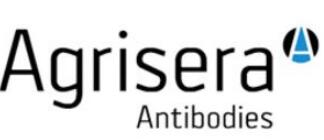 Agrisera.jpg Agrisera.jpg