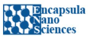 Encapsula NanoSciences.jpg Encapsula NanoSciences.jpg