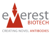 Everest Biotech.jpg Everest Biotech.jpg