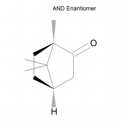 MM0103.00 - Camphor, Racemic