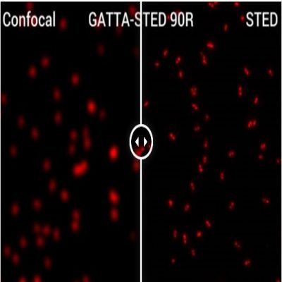 GattaQuant - GATTA-STED NANORULER
