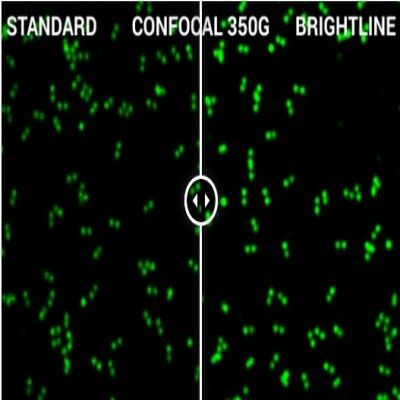 GattaQuant - GATTA-CONFOCAL NANORULER