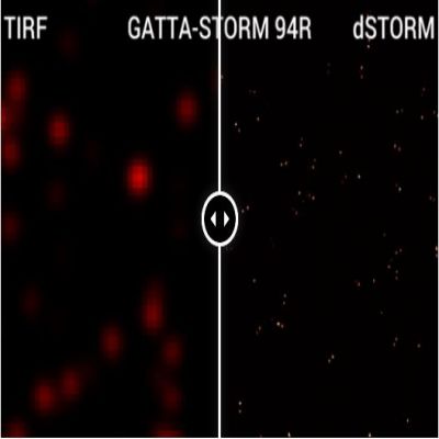 GattaQuant - GATTA-STORM NANORULER