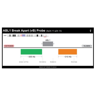 Empire Genomics - ABL1BA-vB-20-GROR - ABL1 Break Apart FISH Probe Version B