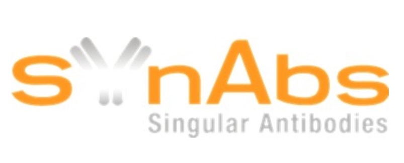 SYnAbs.jpg SYnAbs.jpg