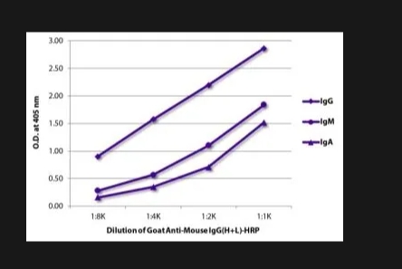 Southern Biotech 山羊抗小鼠 IgG（H+L）-HRP多克隆