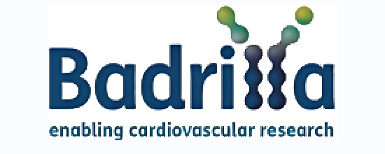 维百奥生物代理Badrilla品牌