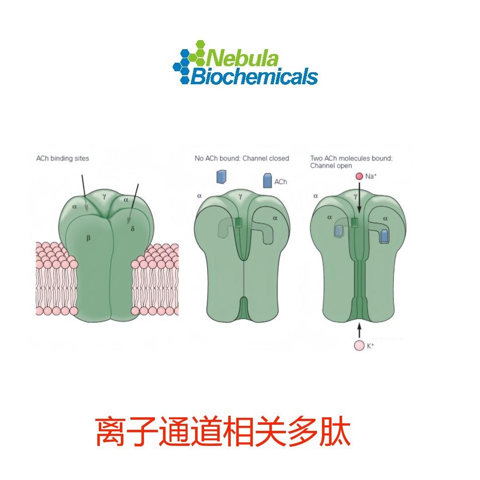 离子通道相关毒素肽 | 抑制剂 | 拮抗剂 | 激动剂