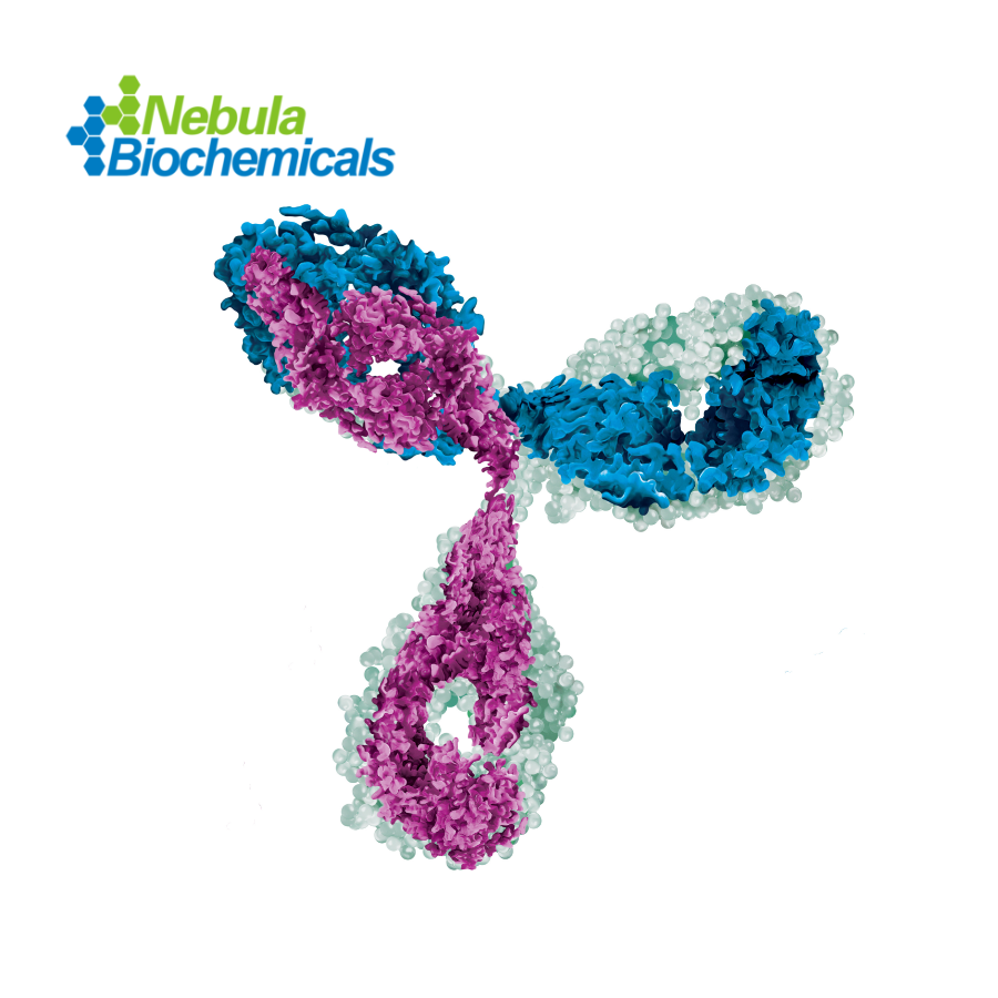 抗体现货  | 国货替代首选
