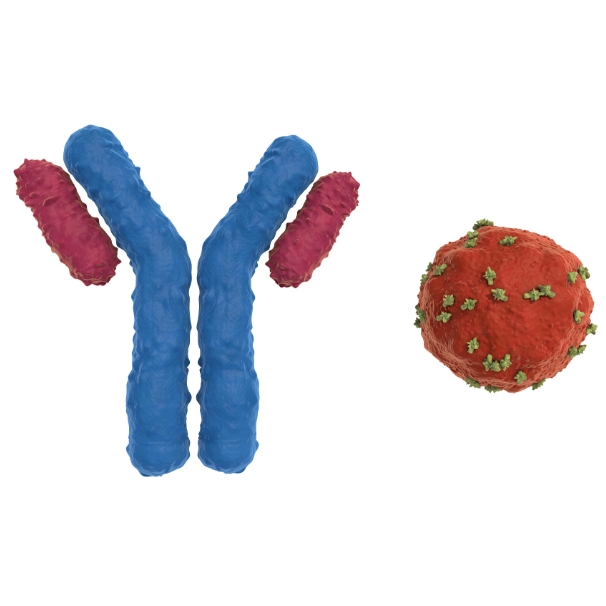 一抗现货  | 国货替代首选
