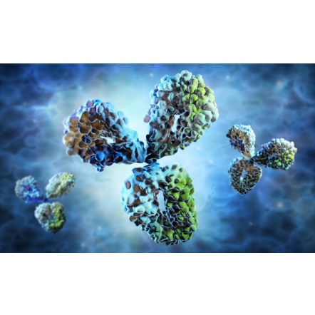 二抗现货  | 国货替代首选