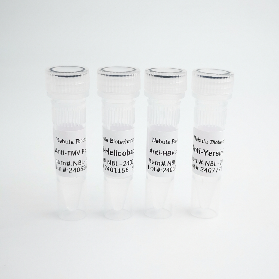 重组人α-Synuclein, β-Synuclein, γ-Synuclein蛋白 现货热销