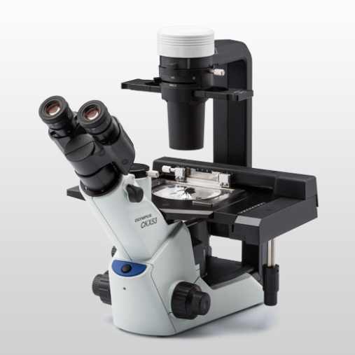 奥林巴斯生物显微镜 现货热销 | 维百奥生物
