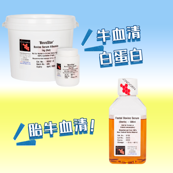 Bovogen 胎牛血清及牛血清白蛋白现货热销 | 维百奥生物