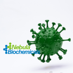 维百奥生物代理全系列Chikungunya相关蛋白