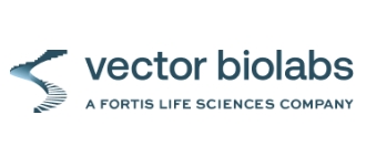 维百奥生物代理Vectorbiolabs品牌全系列产品