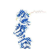 重组人PLOD1蛋白 | Recombinant Human PLOD1, 636-727aa, His-tag
