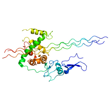 重组人COL3a1蛋白 |  Human Collagen Type III Alpha 1 (COL3a1), His-tag, GST-tag