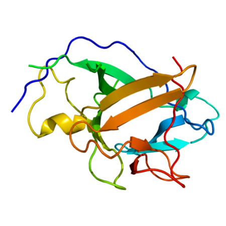 重组人IL-1 alpha/IL-1F1蛋白 | Human IL-1 alpha/IL-1F1, 113-271aa, His-tag