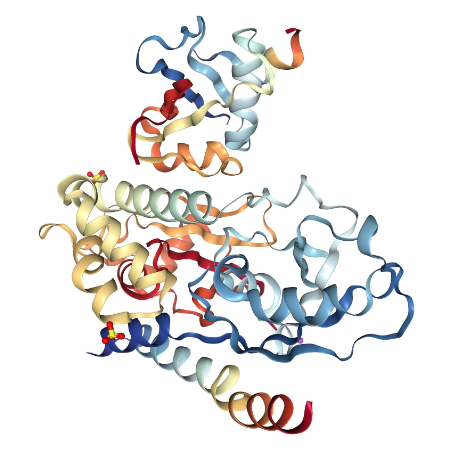 重组人Ubiquitin-like Protein (ATG12)蛋白 | Human Ubiquitin-like Protein (ATG12), 1-140 aa