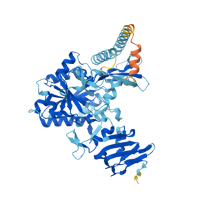 重组小鼠UGP2蛋白 | Recombinant Mouse UGP2, 1-508aa, His-tag