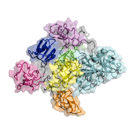 重组人Plasmin蛋白 | Recombinant Human Plasmin, 20-810aa, His-tag