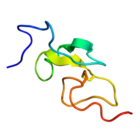 重组人EGF蛋白 | Recombinant Human EGF, 971-1023aa, His-tag