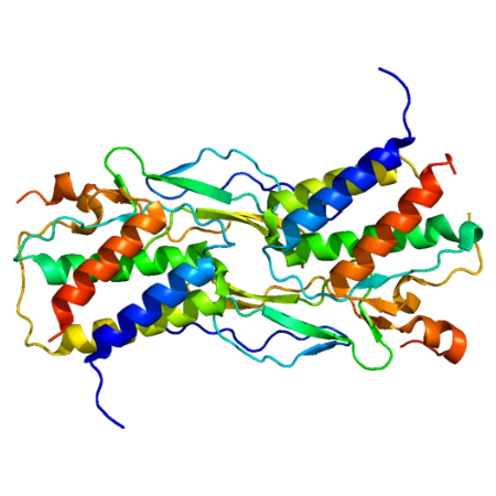 重组人Interleukin 15蛋白 | Recombinant Human IL-15, 50-162aa, His-tag