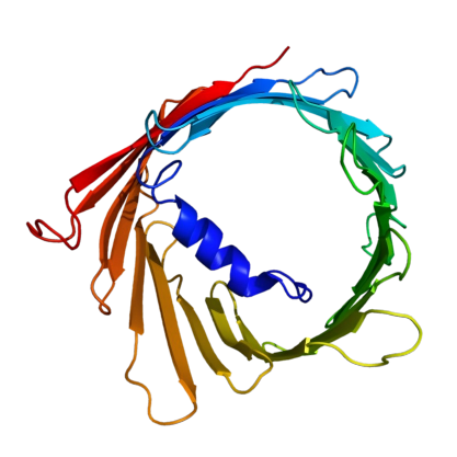 重组人VDAC1蛋白 | Recombinant Human VDAC1, 1-283aa, His-tag, GST-tag