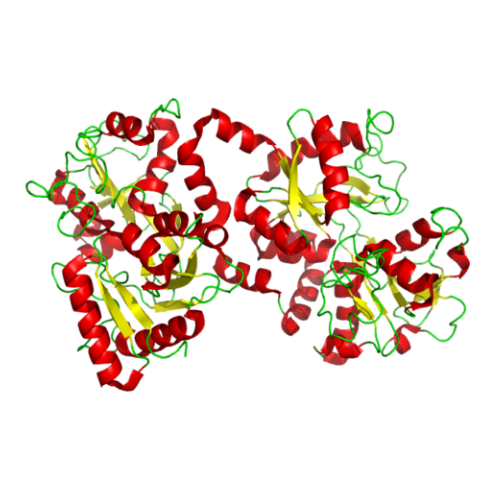天然人Lactoferrin蛋白 | Human Lactoferrin (LTF), Native