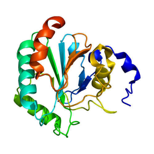 重组大鼠GPX4蛋白 | Rat Glutathione Peroxidase 4 (GPX4), 1-253aa, His-tag