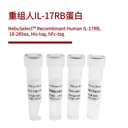 重组人IL-17RB蛋白 | Human IL-17RB, 18-289aa, His-tag, hFc-tag