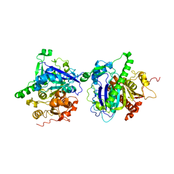 重组人PLA2G7蛋白 | Recombinant Human PLA2G7, 1-441 aa, His-tag
