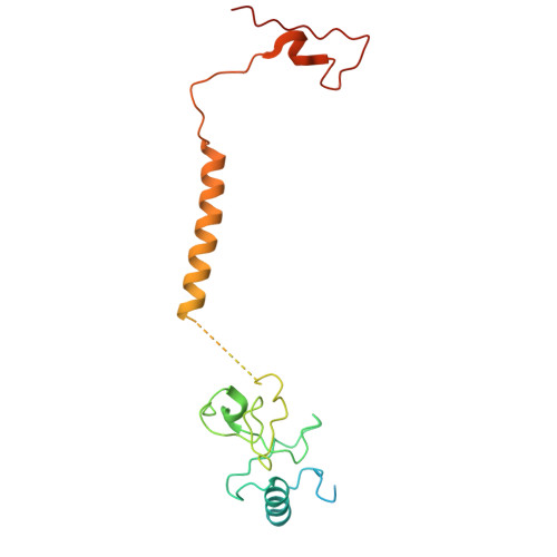 重组人NDUFB8蛋白 | Human NDUFB8, 30-118aa, His-tag, SUMO-Tag, Strep-Tag