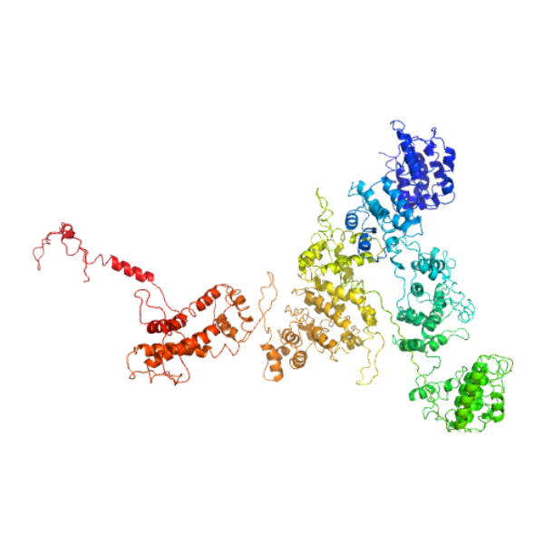 重组小鼠CD206/MRC1蛋白 | Recombinant Mouse CD206/MRC1, 20-1388aa, His-tag