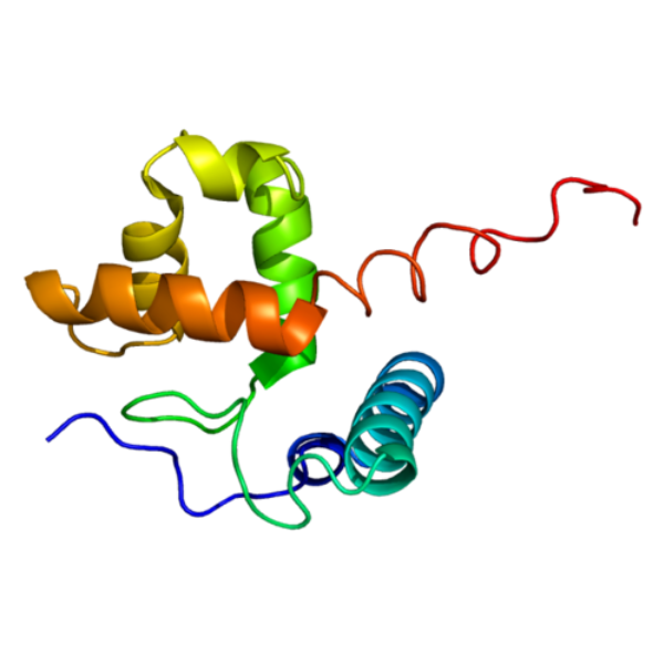重组人ARID1A蛋白 | Recombinant Human ARID1A, 2047-2285aa, His-tag, GST-tag