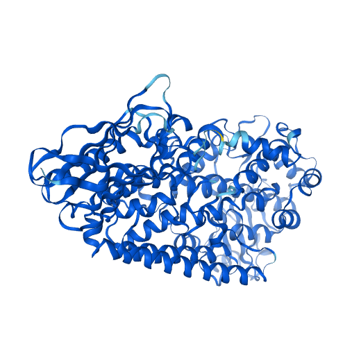 重组人ALOX5蛋白 | Human ALOX5 Protein, 1-674aa, His-tag