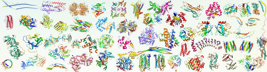 1766455644512992.png 蛋白结构汇总.png