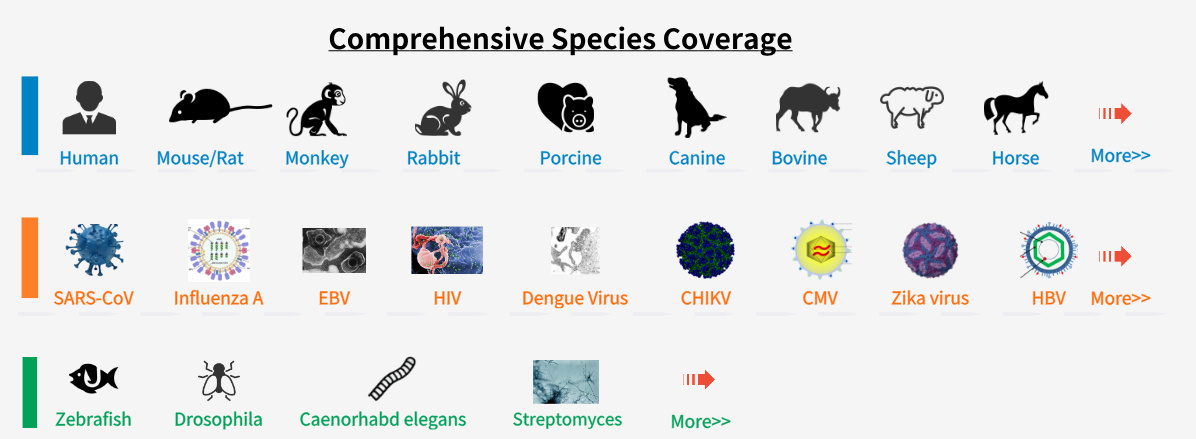 1766467659235386.jpg 物种更新.jpg