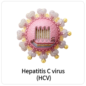 Hepatitis C virus (HCV)