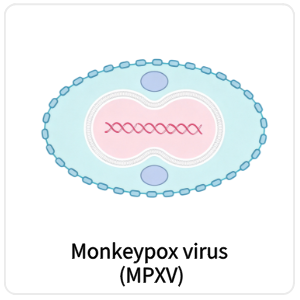 Monkeypox virus (MPXV)
