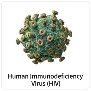 Human Immunodeficiency Virus (HIV)
