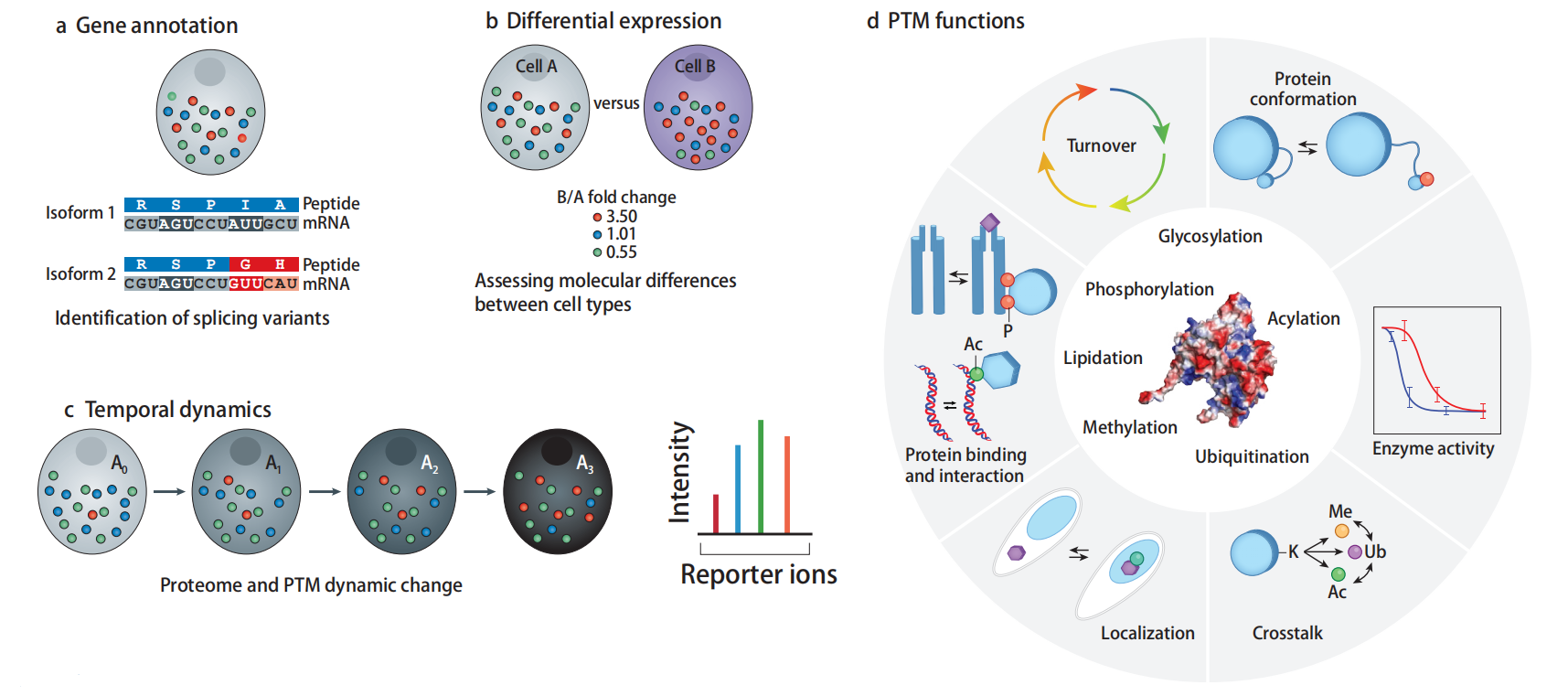 一级特黄AAA大片在线观看
