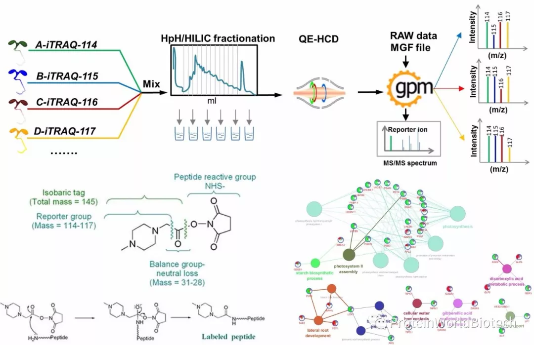 一级特黄AAA大片在线观看