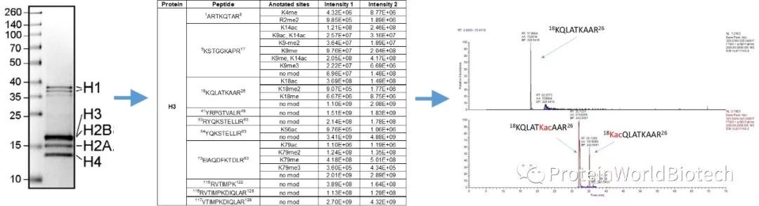 一级特黄AAA大片在线观看
