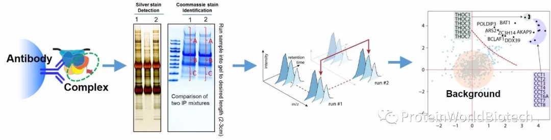 一级特黄AAA大片在线观看