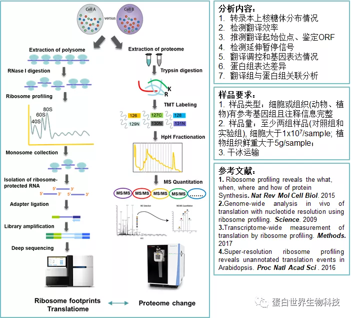 一级特黄AAA大片在线观看