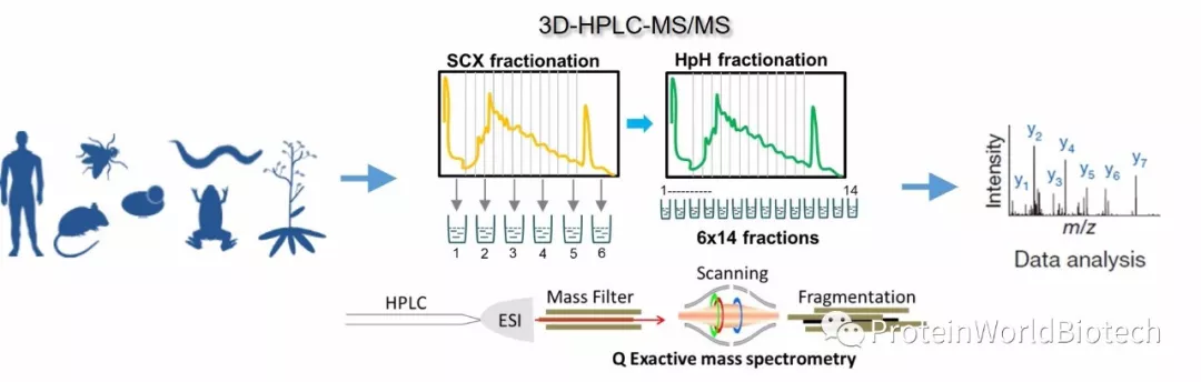 一级特黄AAA大片在线观看