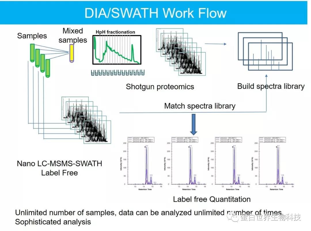 一级特黄AAA大片在线观看